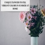 Unique Flowers to Fill Vibrant Colors in Summer at Home