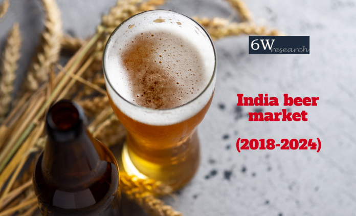 india beer market